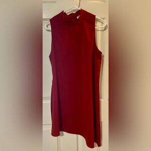 Elegant Burnt Red Sleeveless Dress